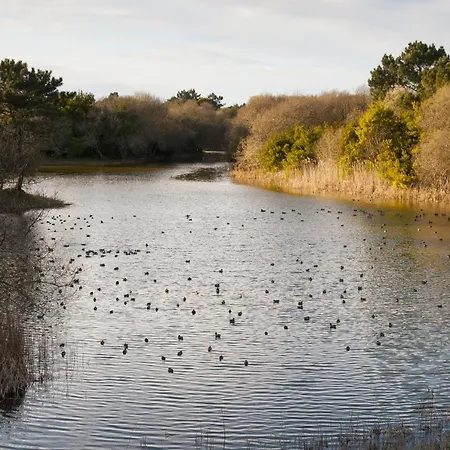 Apartment Puro Sao Jacinto Aveiro