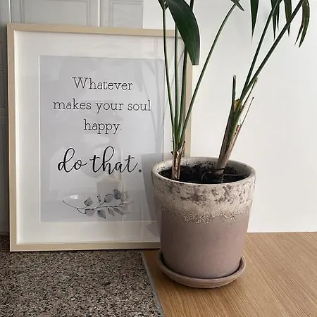 Puro Sao Jacinto Aveiro