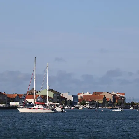 Puro Sao Jacinto Aveiro