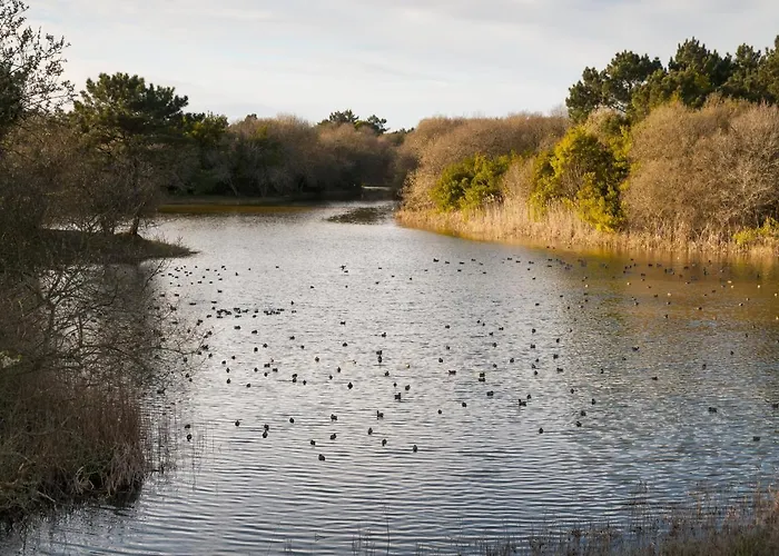 شقة Puro Sao Jacinto أفيرو