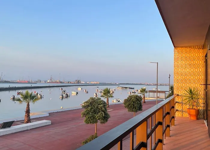 Puro Sao Jacinto أفيرو