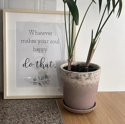 Puro Sao Jacinto أفيرو